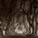 Nightmares (Paddys Wigwam, 1984)